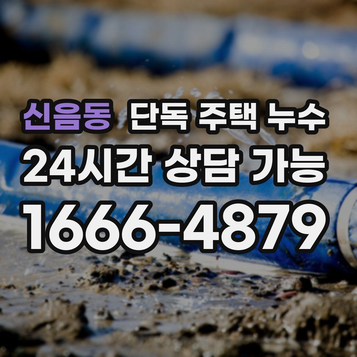 신음동 단독 주택 누수 외벽 타일·마감재 들뜸이 신호일 때