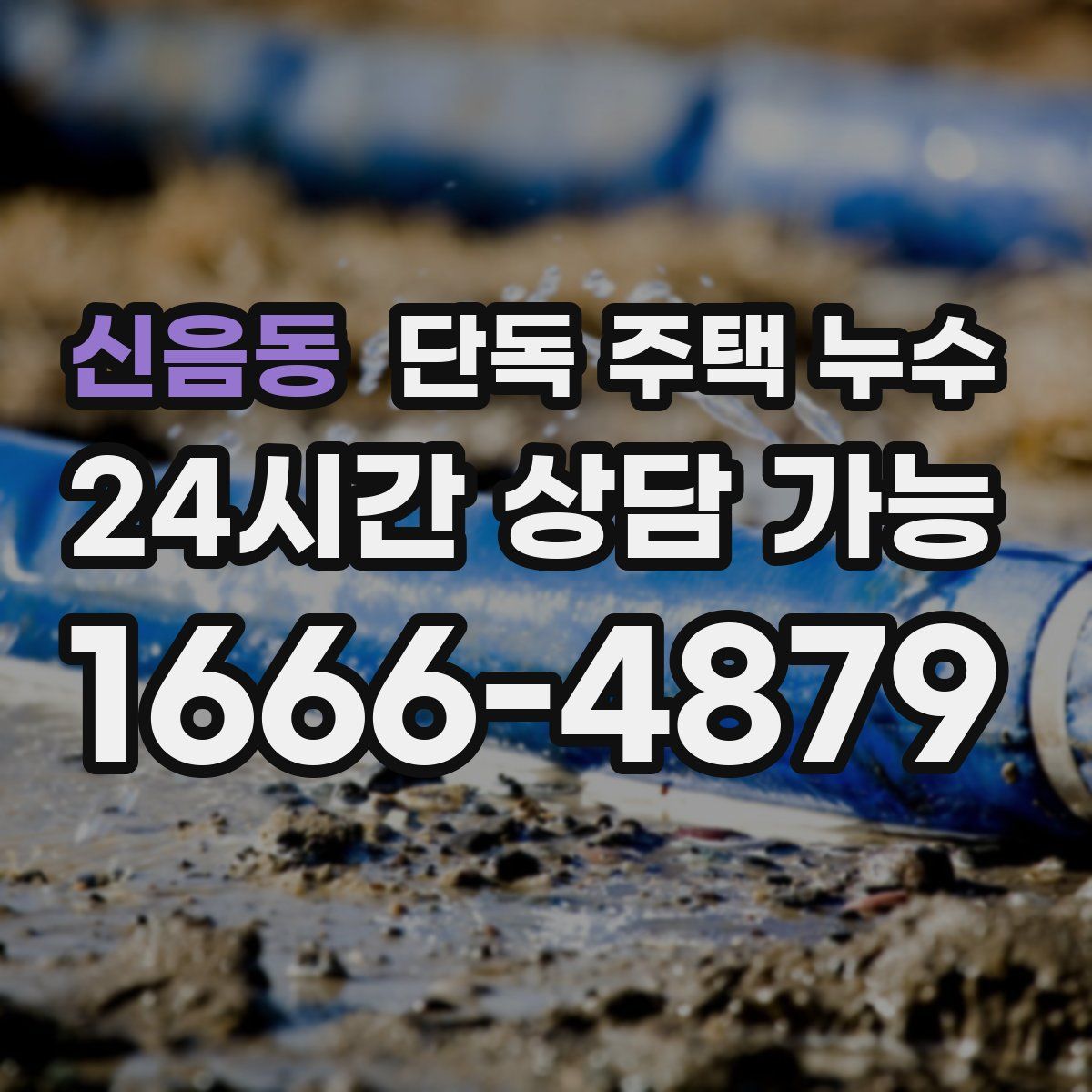 신음동 단독 주택 누수