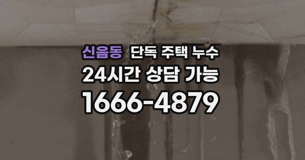 신음동 단독 주택 누수
