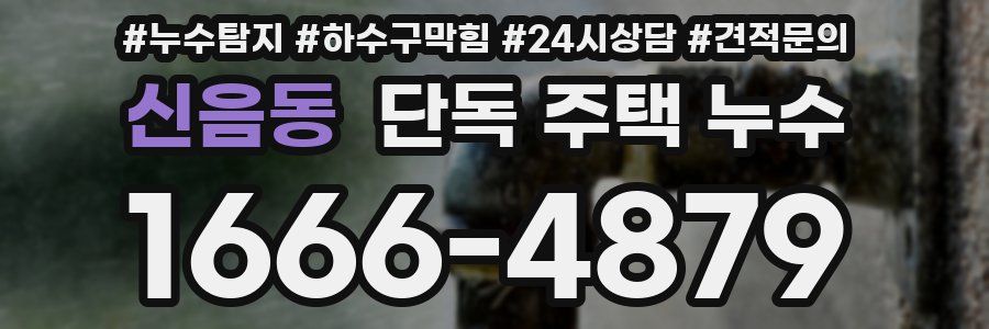 신음동 단독 주택 누수