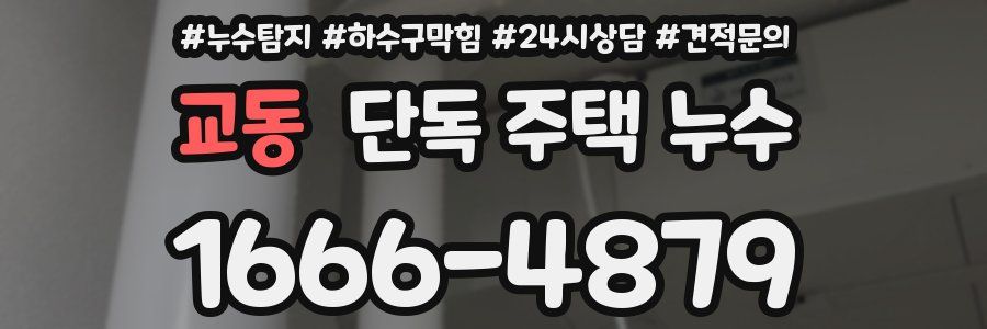 교동 단독 주택 누수