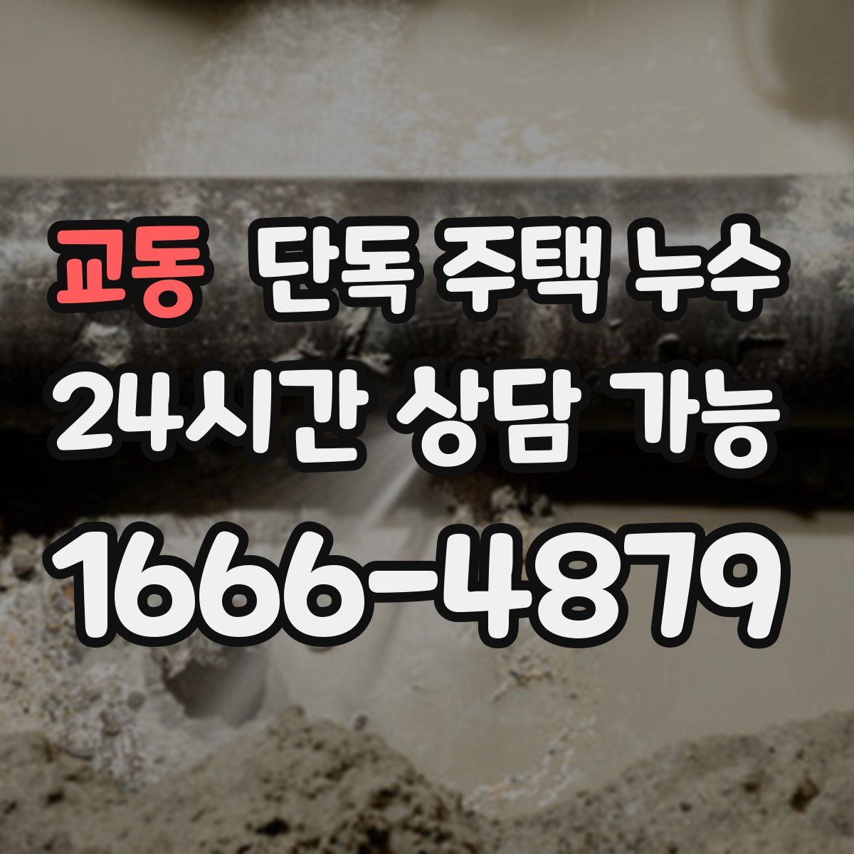 교동 단독 주택 누수