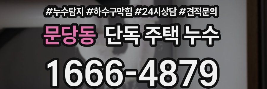 문당동 단독 주택 누수