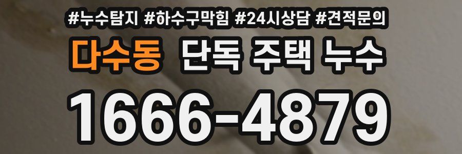 다수동 단독 주택 누수