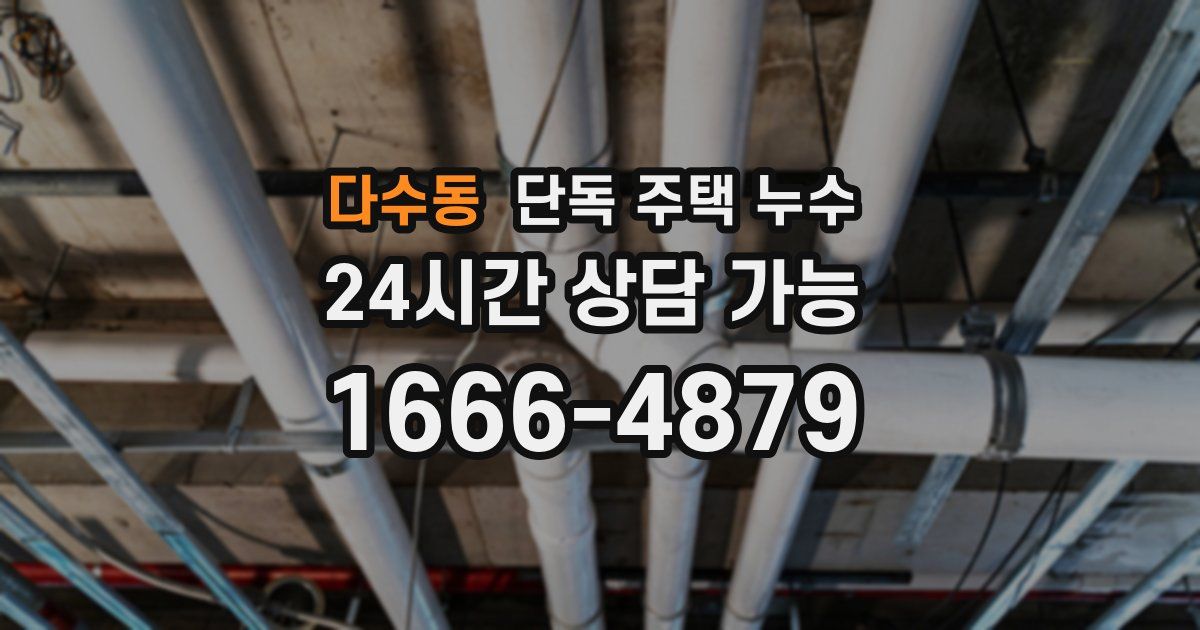 다수동 단독 주택 누수