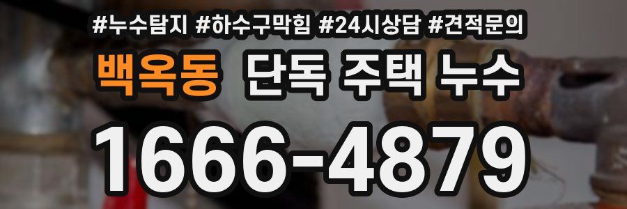 백옥동 단독 주택 누수