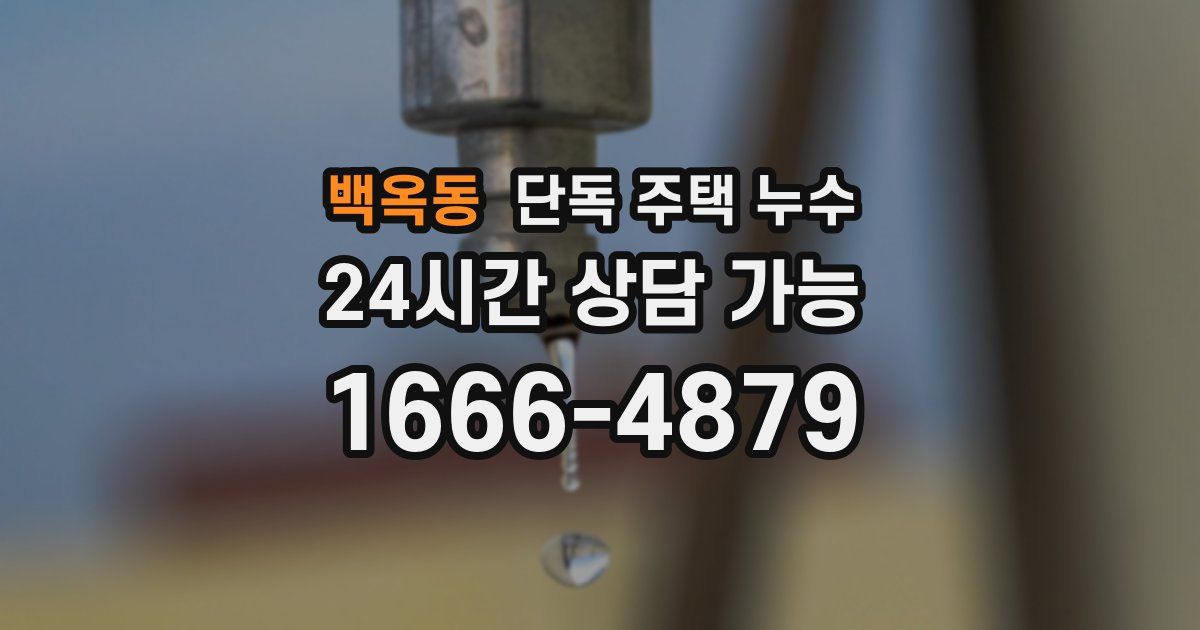 백옥동 단독 주택 누수