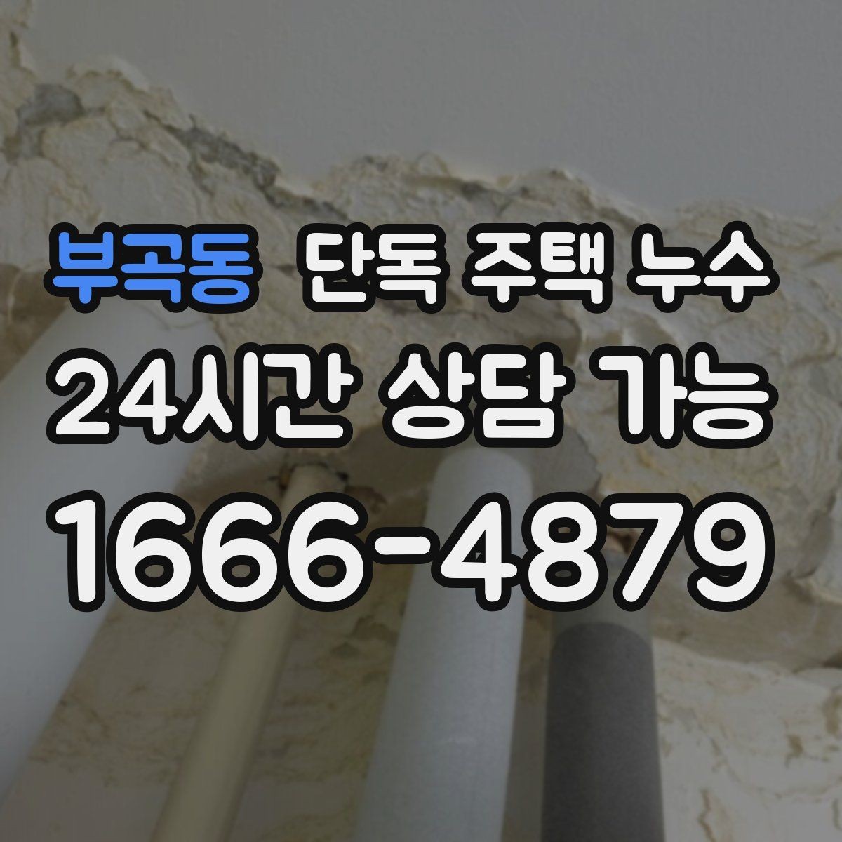 부곡동 단독 주택 누수 굴뚝·환기구 주변 누수 점검 방법