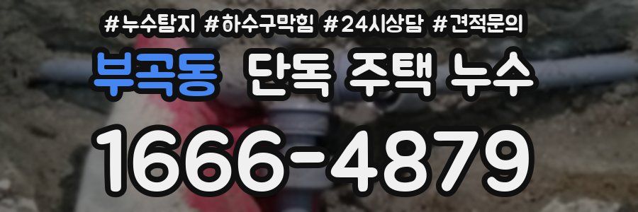 부곡동 단독 주택 누수