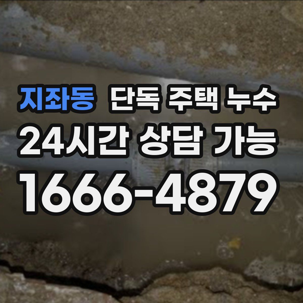 지좌동 단독 주택 누수