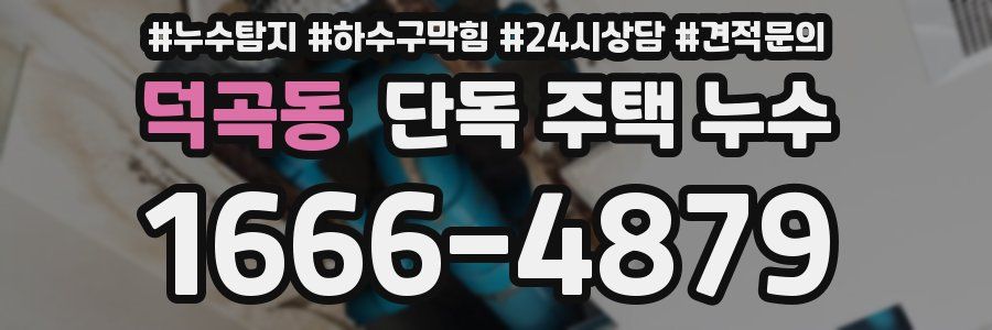 덕곡동 단독 주택 누수