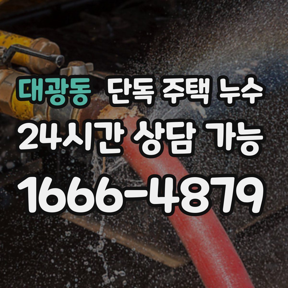 대광동 단독 주택 누수