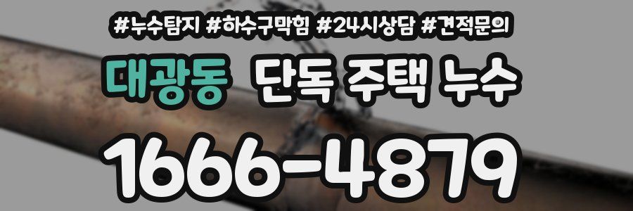 대광동 단독 주택 누수