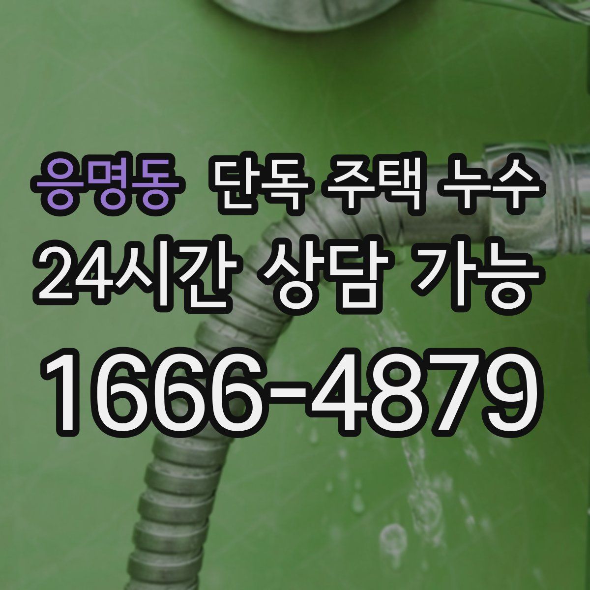 응명동 단독 주택 누수