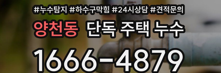 양천동 단독 주택 누수