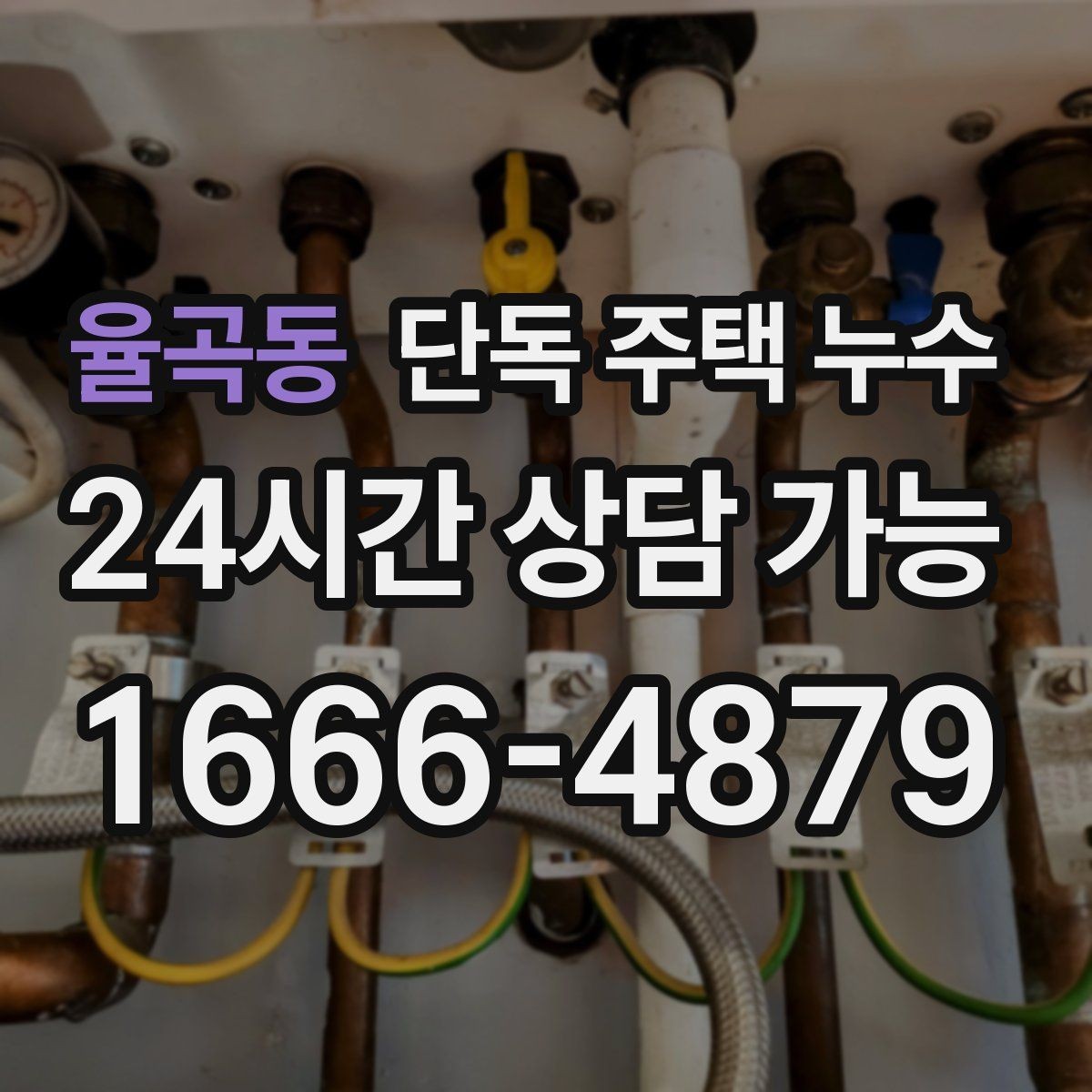 율곡동 단독 주택 누수 특정 시간대에만 축축해지는 이유