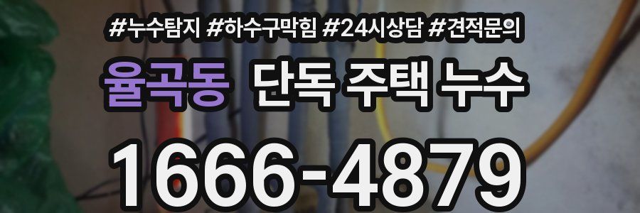 율곡동 단독 주택 누수