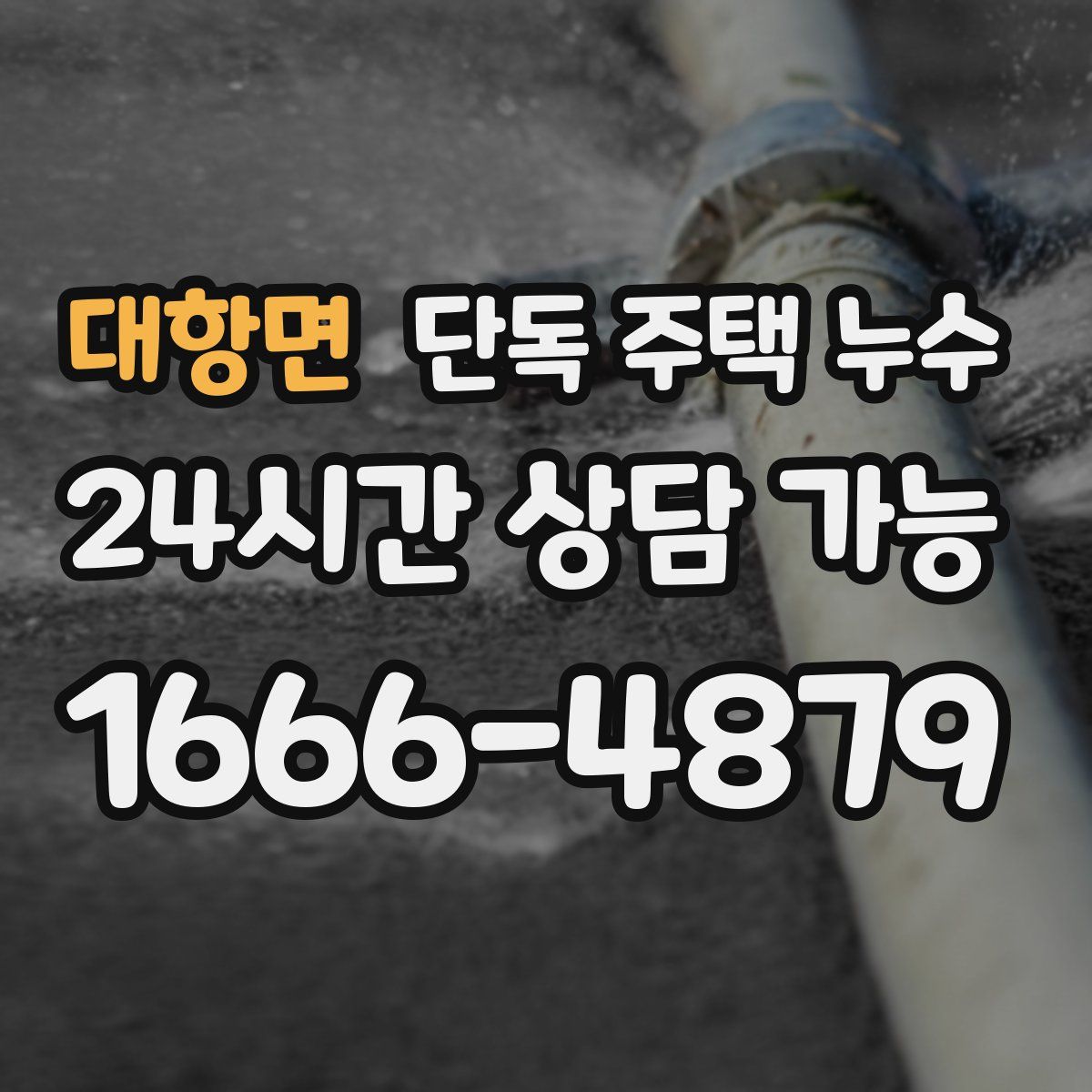 대항면 단독 주택 누수