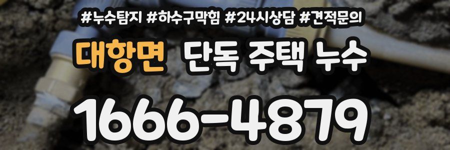 대항면 단독 주택 누수