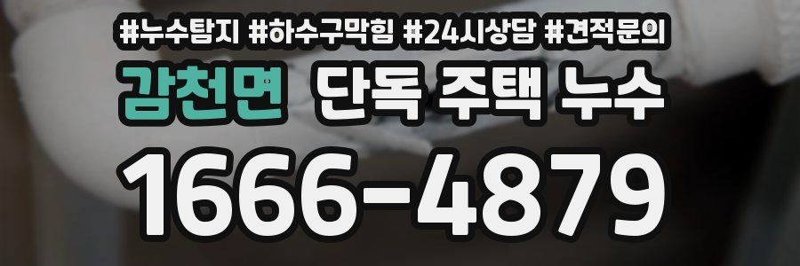 감천면 단독 주택 누수