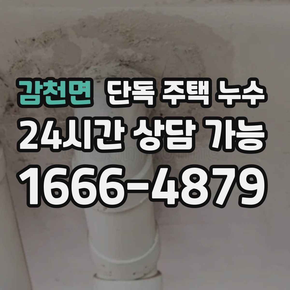 감천면 단독 주택 누수