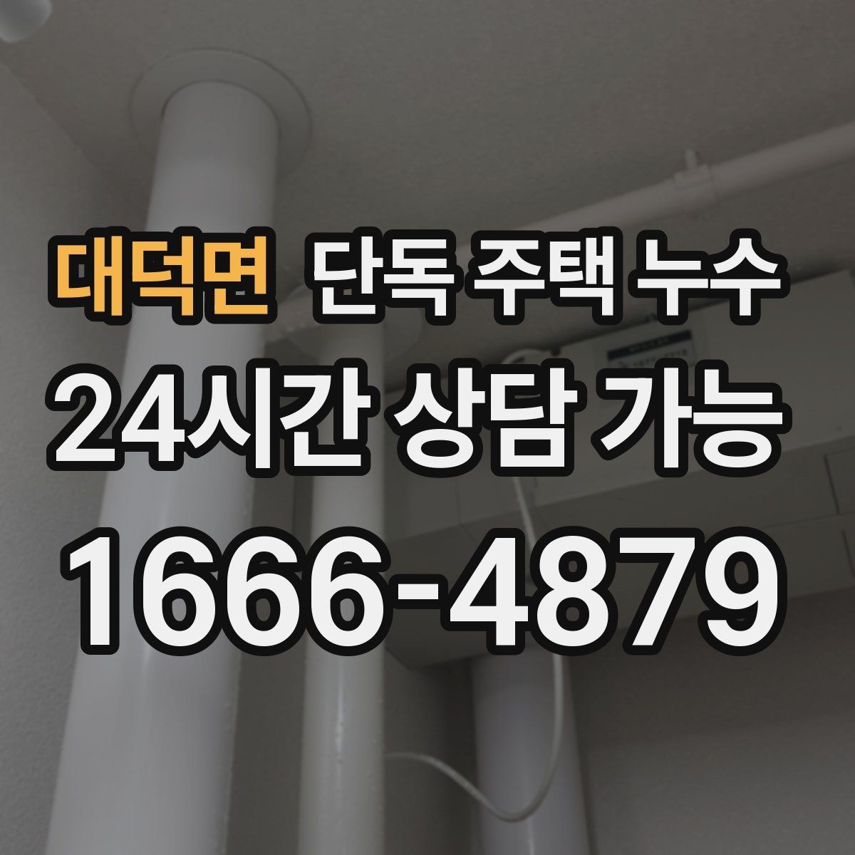 대덕면 단독 주택 누수 세탁실 배수구 주변이 축축할 때