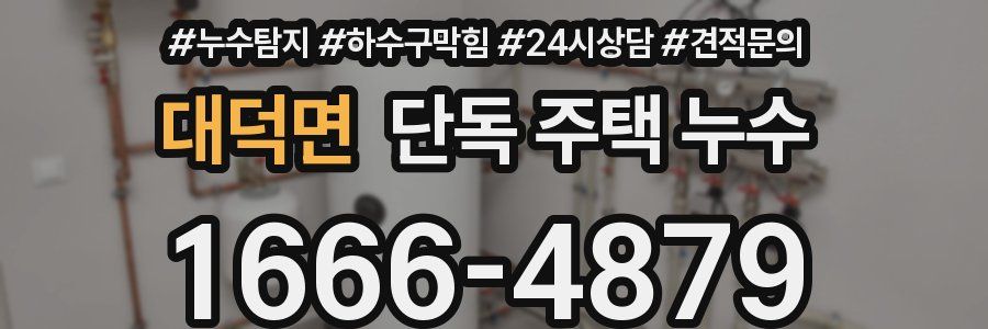 대덕면 단독 주택 누수