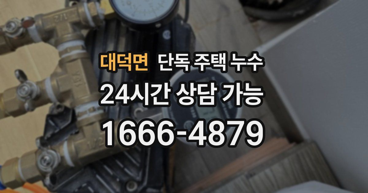 대덕면 단독 주택 누수