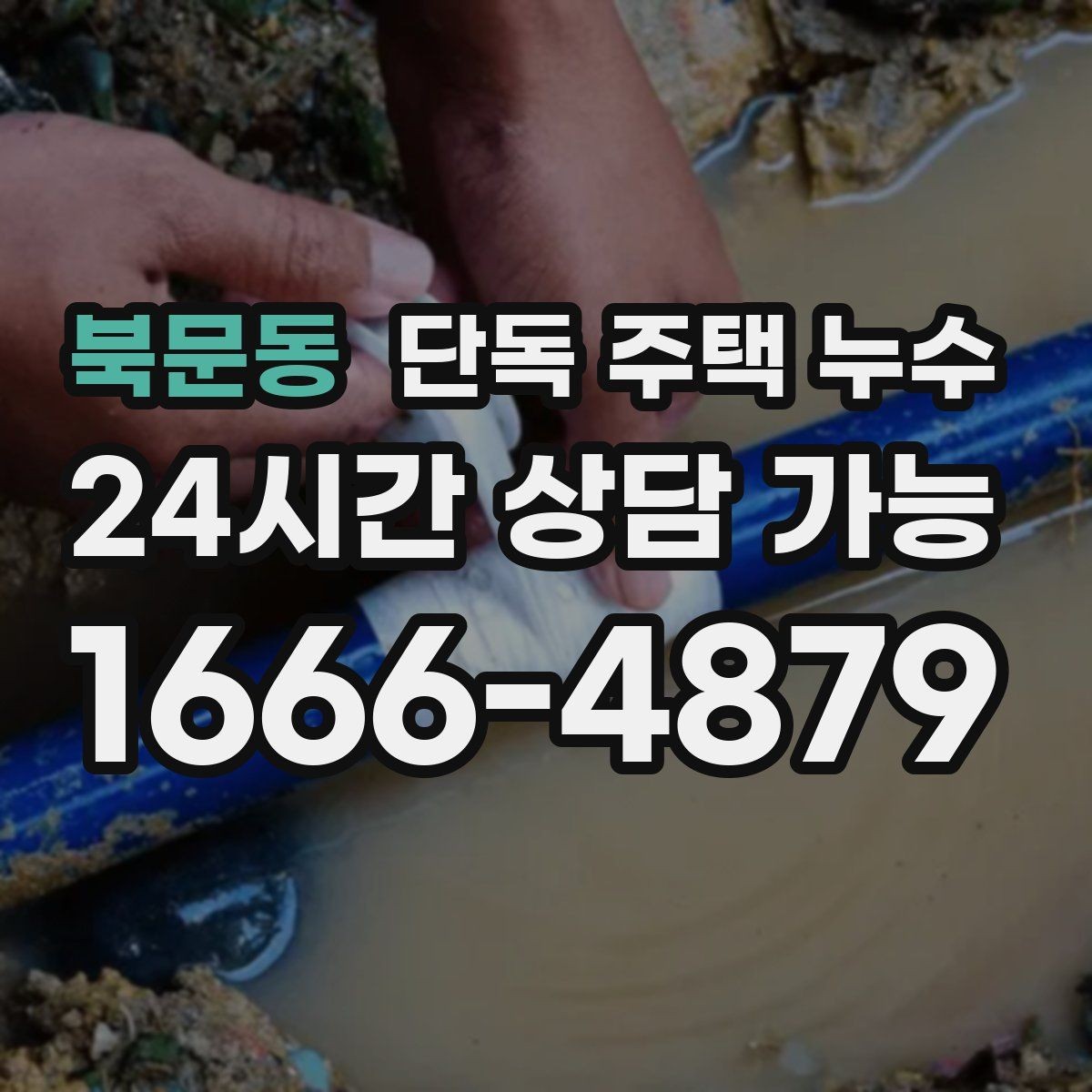 북문동 단독 주택 누수 외벽 균열이 작은데도 물이 스며드는 경우