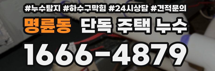 명륜동 단독 주택 누수