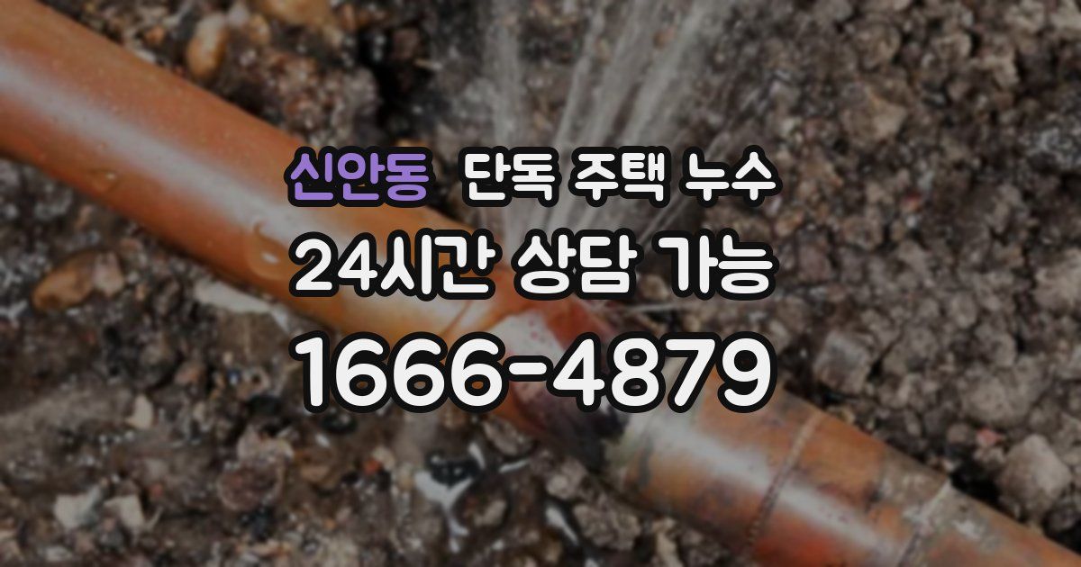 신안동 단독 주택 누수