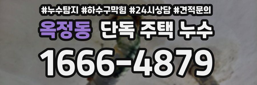옥정동 단독 주택 누수