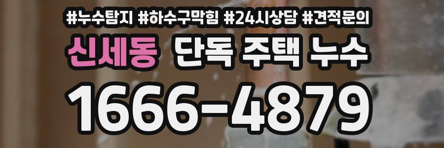 신세동 단독 주택 누수