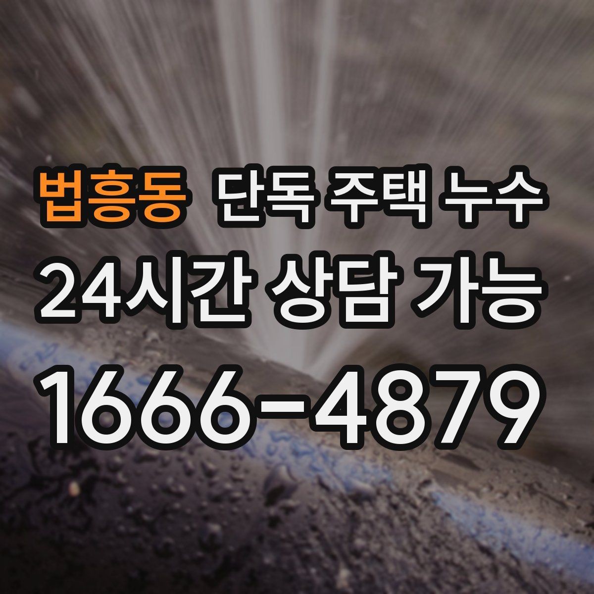법흥동 단독 주택 누수 장판 아래 물이 차오르는 느낌일 때