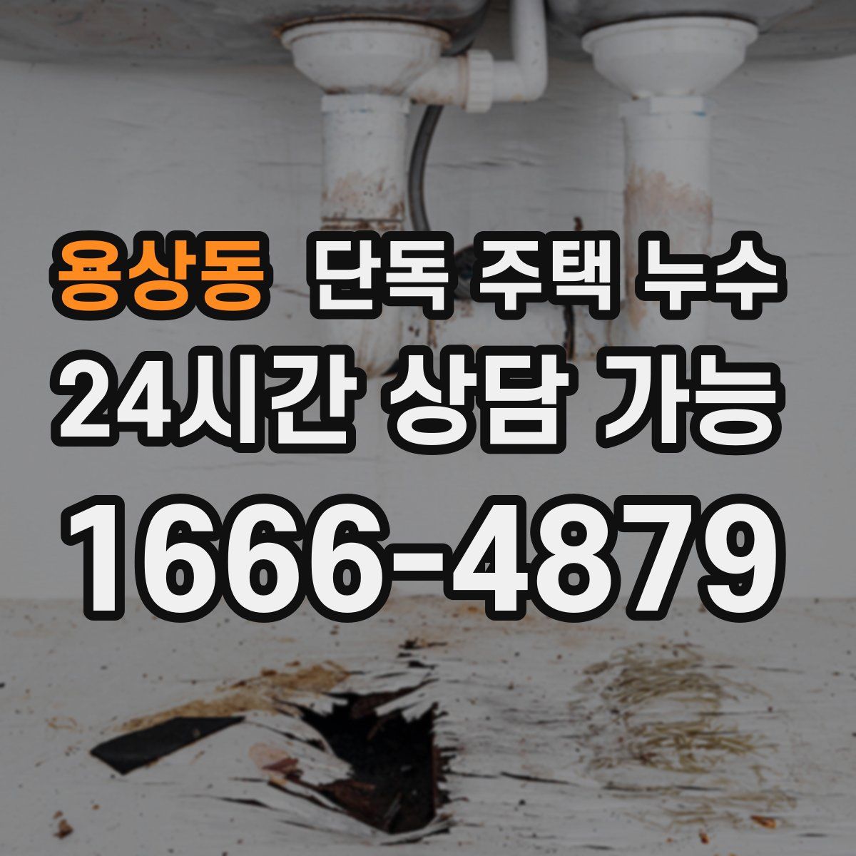 용상동 단독 주택 누수