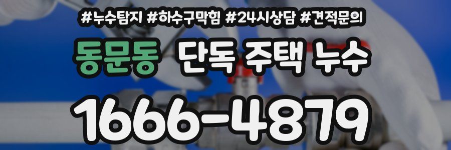 동문동 단독 주택 누수