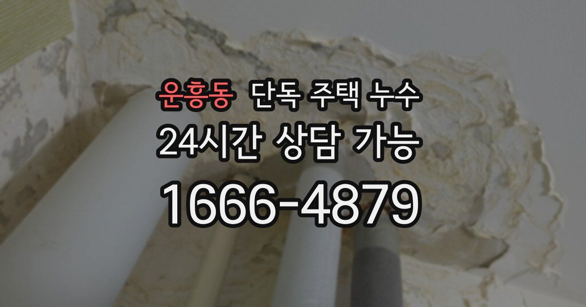 운흥동 단독 주택 누수