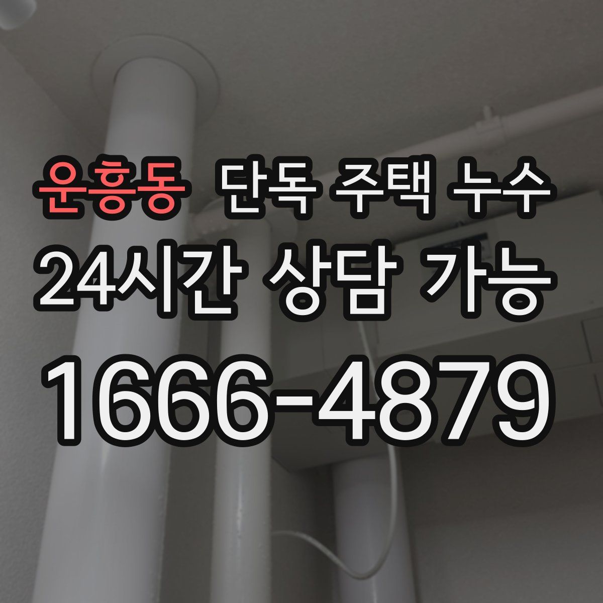 운흥동 단독 주택 누수