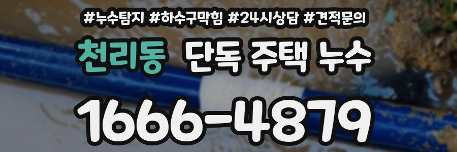 천리동 단독 주택 누수