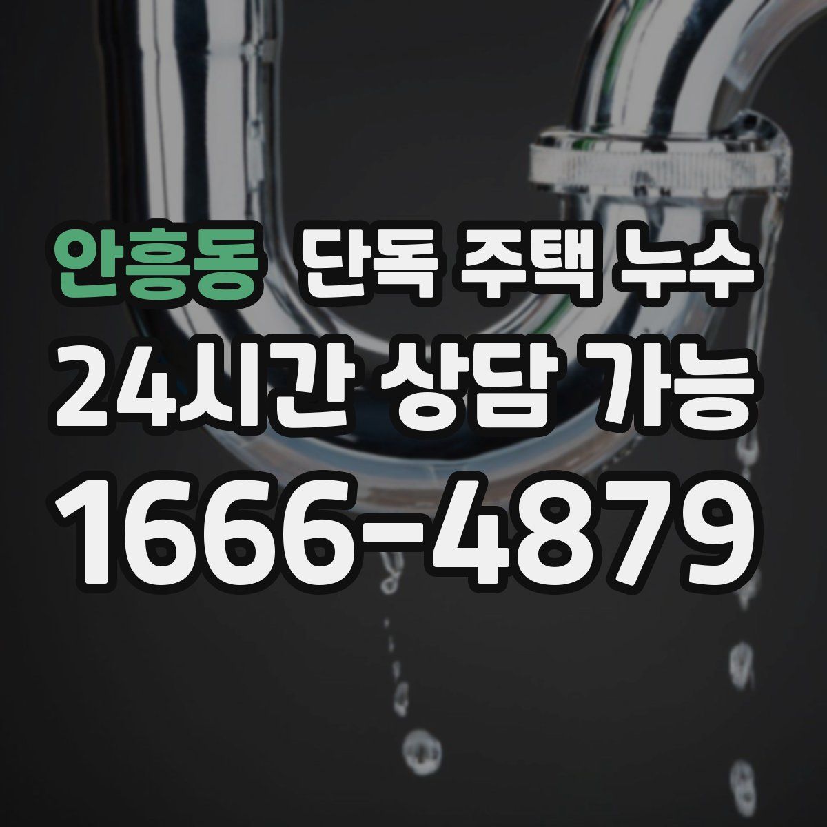 안흥동 단독 주택 누수