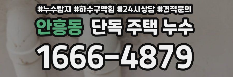 안흥동 단독 주택 누수