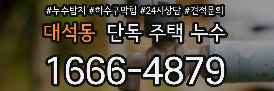 대석동 단독 주택 누수