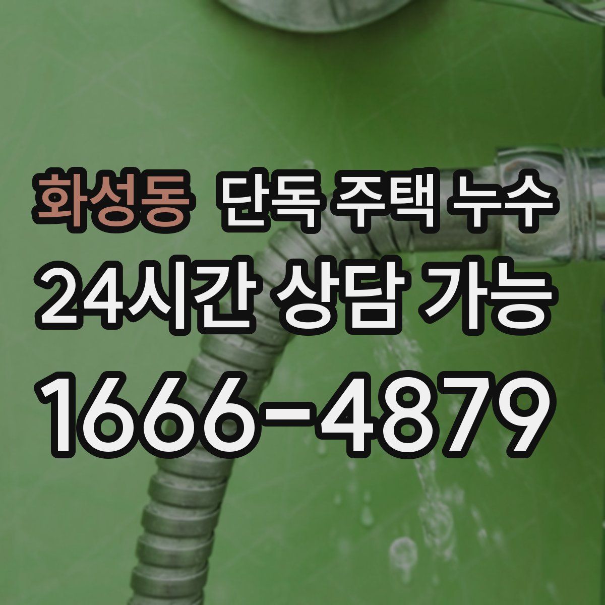 화성동 단독 주택 누수