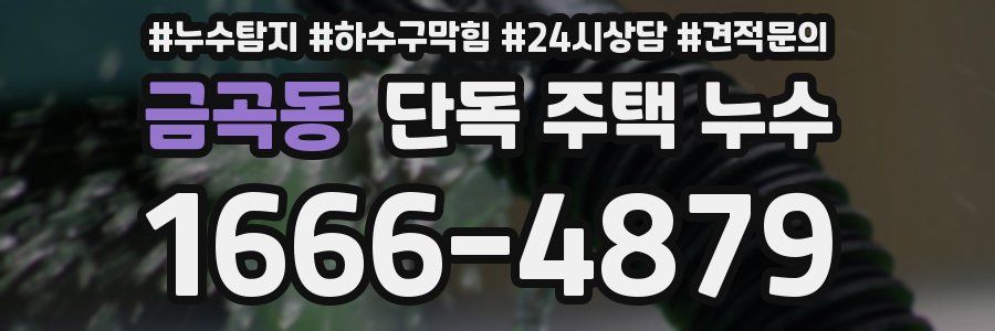 금곡동 단독 주택 누수