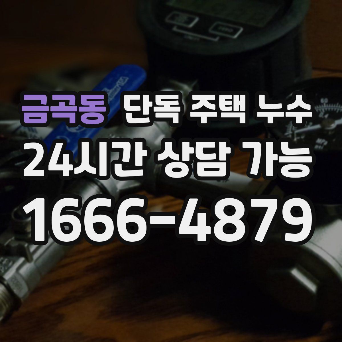 금곡동 단독 주택 누수