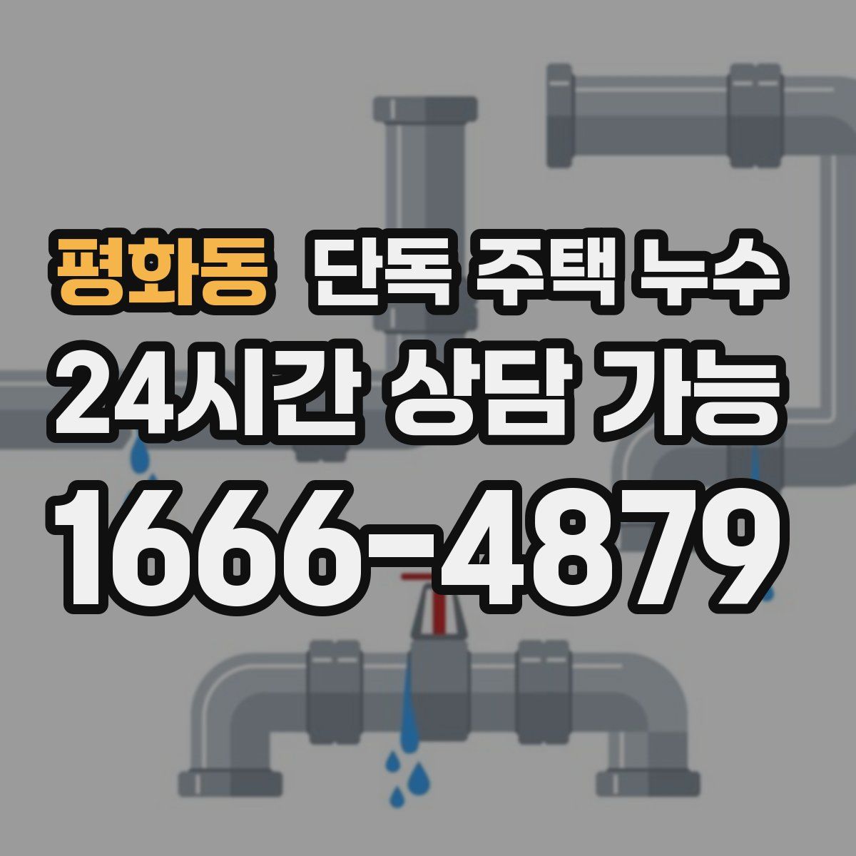 평화동 단독 주택 누수