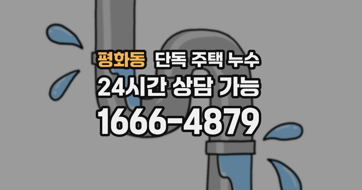 평화동 단독 주택 누수