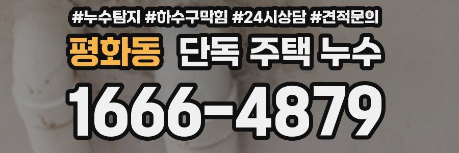 평화동 단독 주택 누수