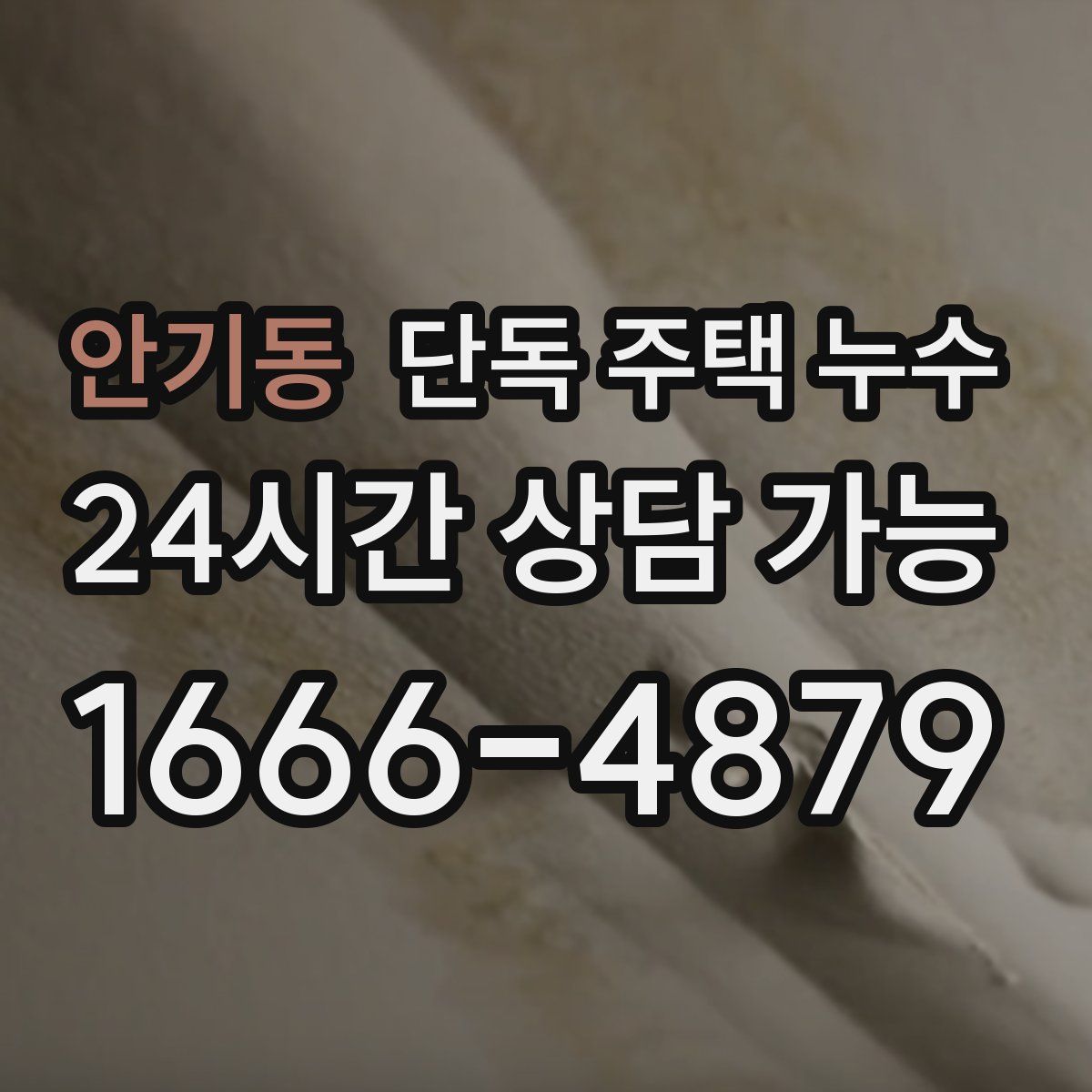 안기동 단독 주택 누수