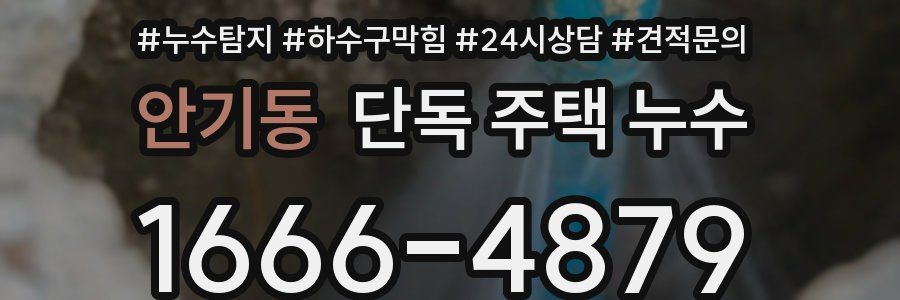 안기동 단독 주택 누수